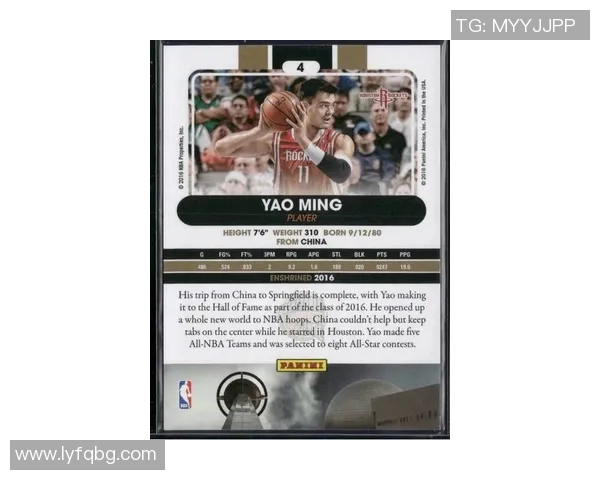 暮年鲨鱼姚明的传奇人生与篮球梦想的终极追求