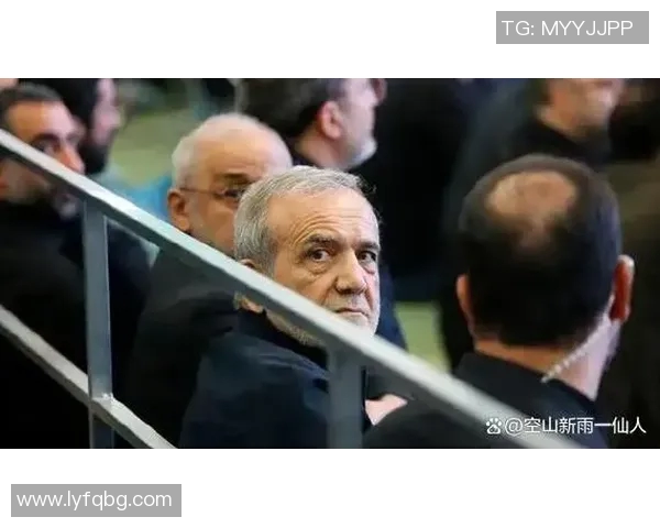 伊朗足球明星被杀事件引发国际关注与愤怒呼声的背后真相探讨