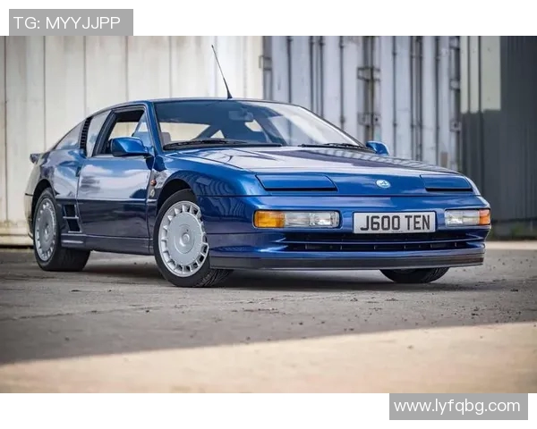 篮球明星利马的传奇之路与辉煌成就全景回顾