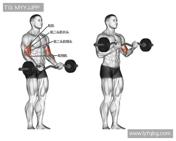 一周哑铃健身计划详解助你塑造完美身材与健康生活